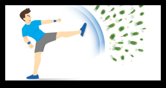 הצתה של מערכת החיסון: כיצד פעילות גופנית מחזקת את ההגנות של הגוף שלך