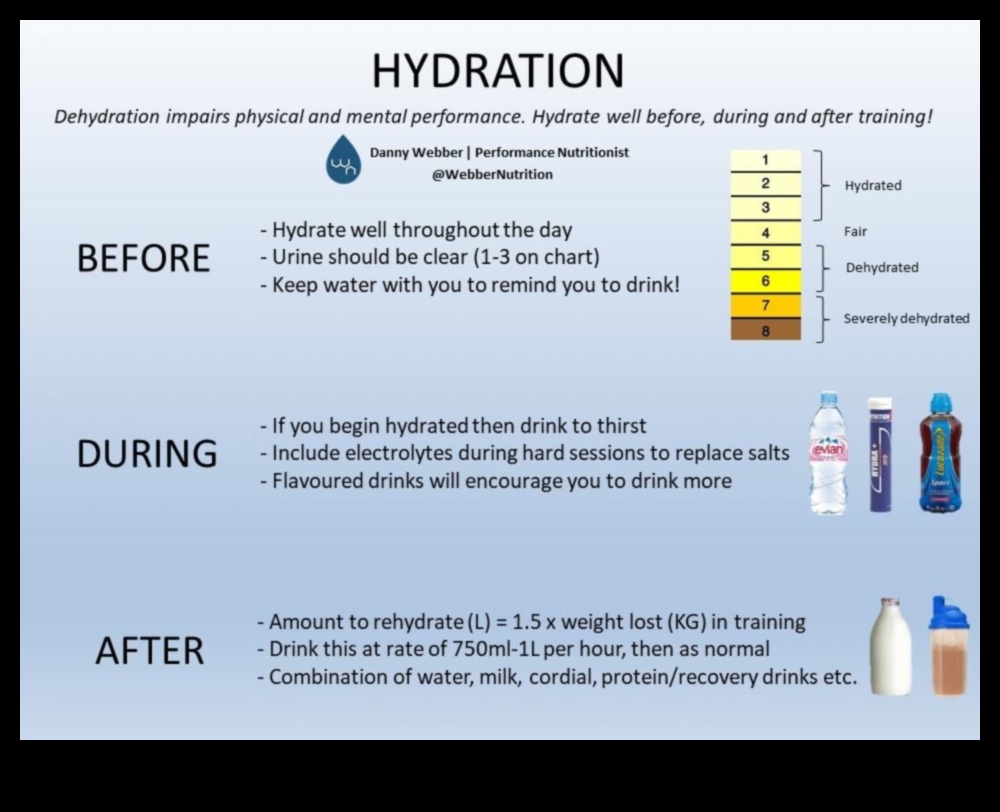 חלבון והידרציה: הבנת הקשר