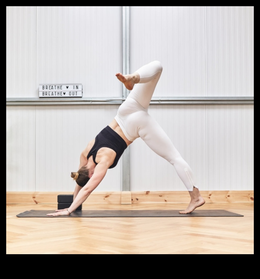 יוגה הרמוניה: סימפוניה של אסאנות מודעות