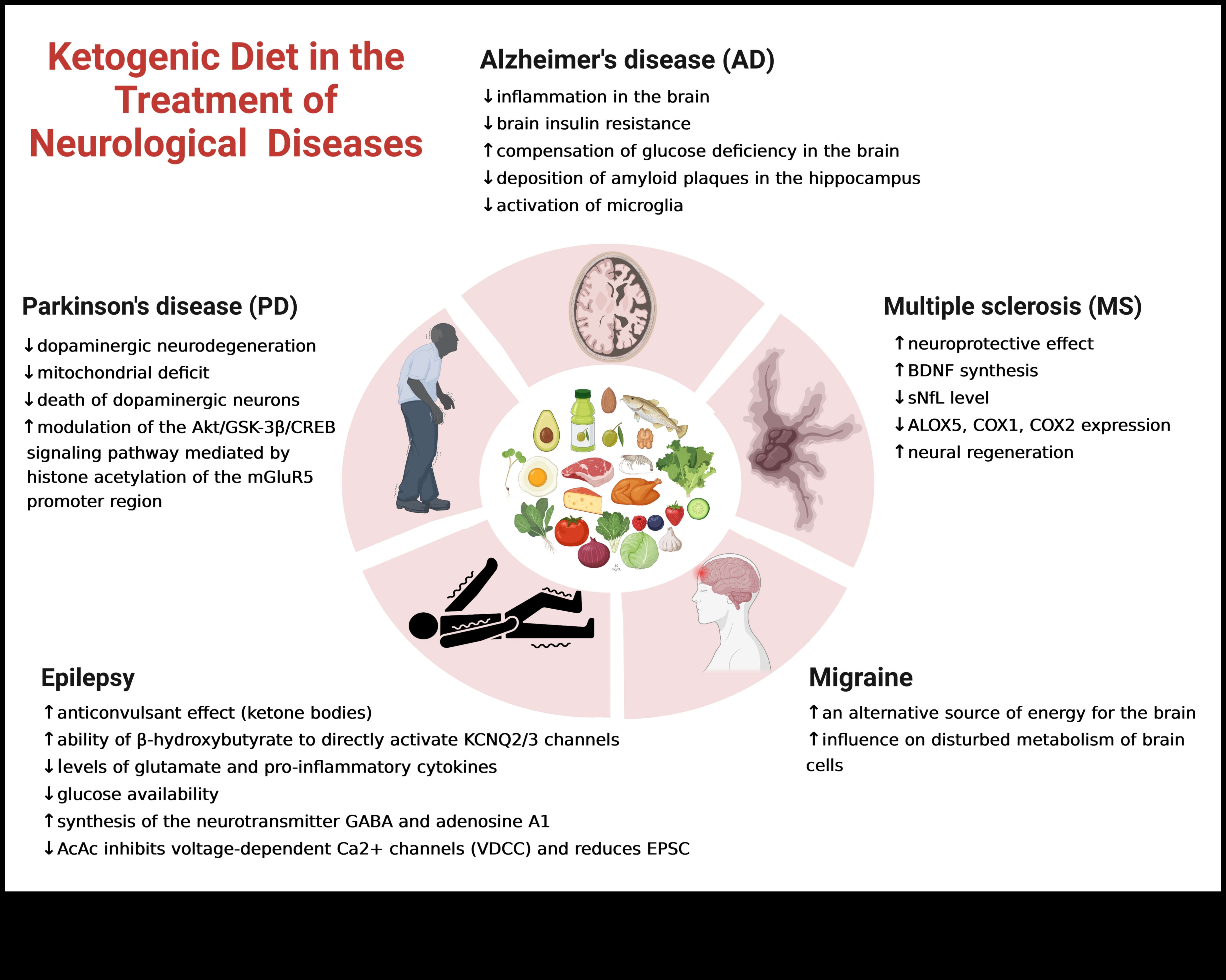 קטו ומניעת מחלות כרוניות: מדריך מקיף