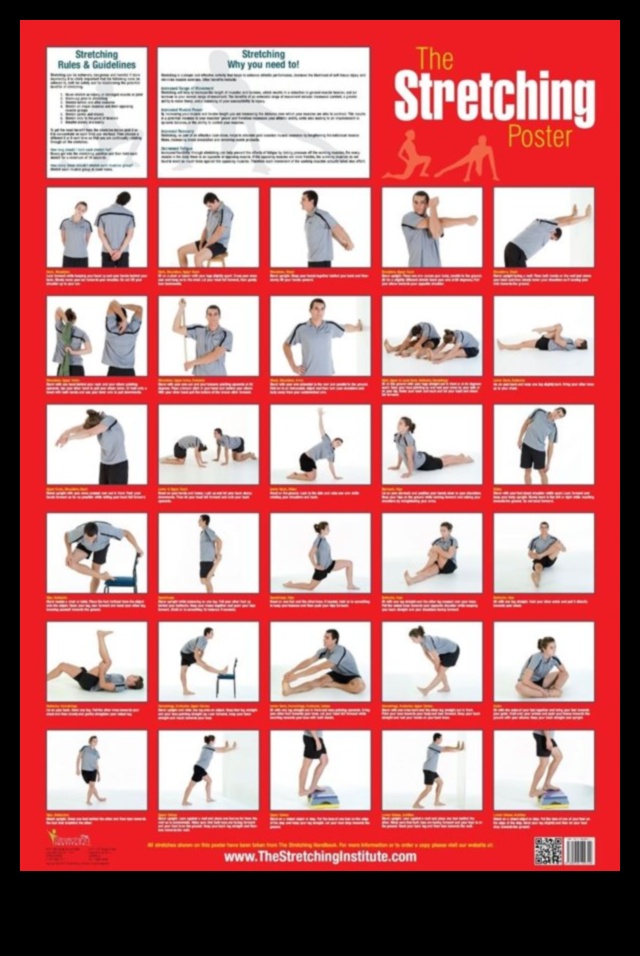 יסודות מתיחה: יצירת שרטוט לגמישות יומיומית