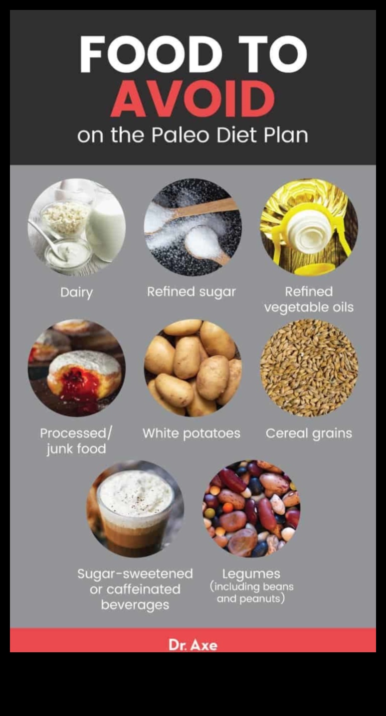 פירוק המרכיבים של דיאטה פליאוליתית מוצלחת