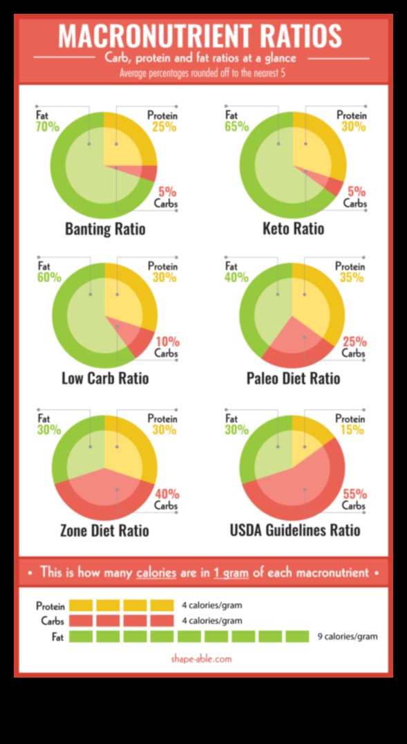 הבנת המקרונוטריינטים בדיאטה מוצלחת דלת שומן