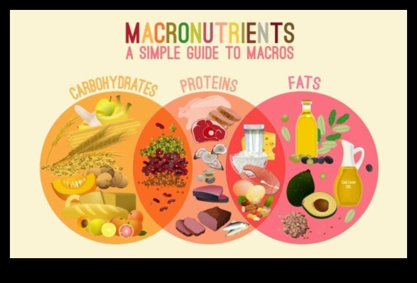 הבנת המקרונוטריינטים בדיאטה מוצלחת דלת שומן