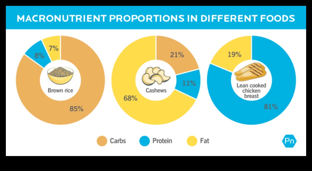 הבנת המקרונוטריינטים בדיאטה מוצלחת דלת שומן