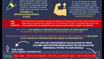 דיאטות עתירות חלבון ובניית שרירים: גישה סינרגטית