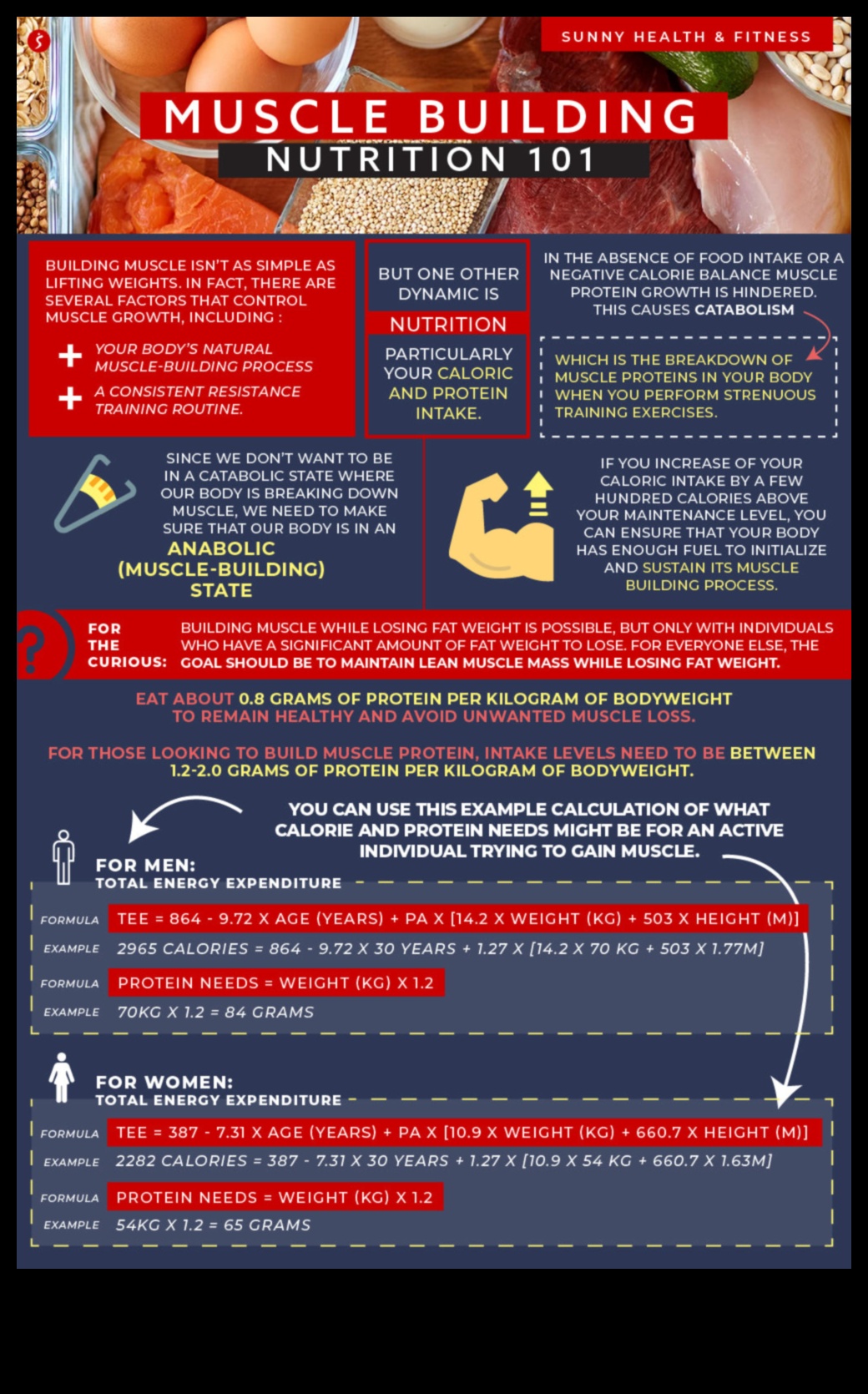 דיאטות עתירות חלבון ובניית שרירים: גישה סינרגטית