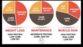 הבנת המקרונוטריינטים בדיאטה מוצלחת דלת שומן