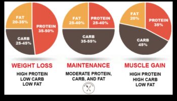 הבנת המקרונוטריינטים בדיאטה מוצלחת דלת שומן