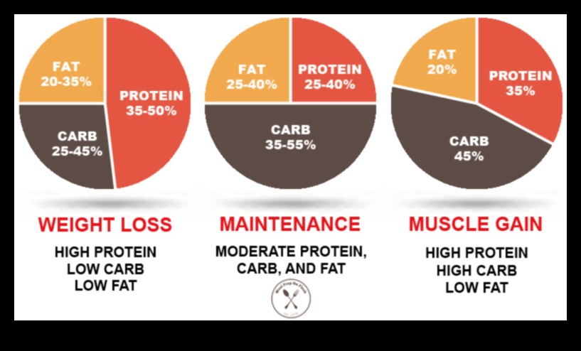 הבנת המקרונוטריינטים בדיאטה מוצלחת דלת שומן