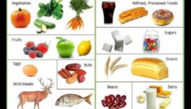 פירוק המרכיבים של דיאטה פליאוליתית מוצלחת