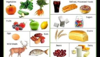 פירוק המרכיבים של דיאטה פליאוליתית מוצלחת