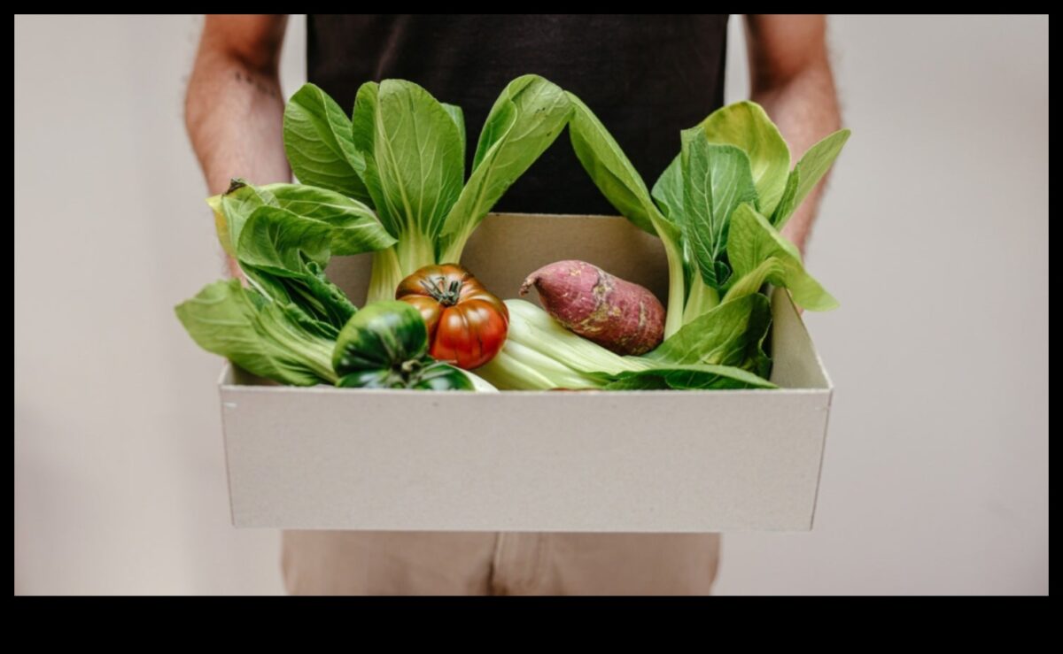 קטו וקיימות סביבתית: פרספקטיבה הוליסטית