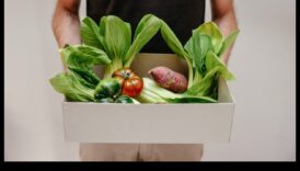 קטו וקיימות סביבתית: פרספקטיבה הוליסטית