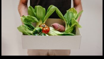 קטו וקיימות סביבתית: פרספקטיבה הוליסטית