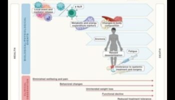 קטו ומניעת מחלות כרוניות: מדריך מקיף