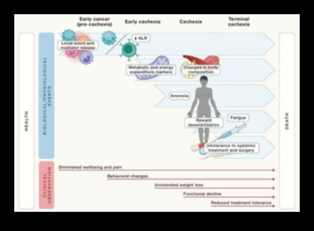 קטו ומניעת מחלות כרוניות: מדריך מקיף