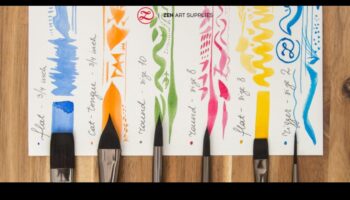 השפעת אורך המברשת: בחינת הקשר בין גודל ושליטה