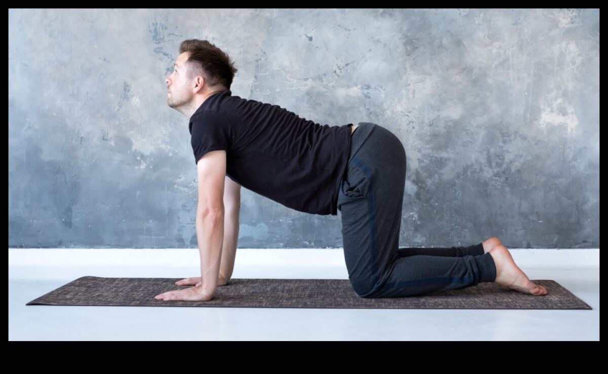 יוגה הרמוניה: סימפוניה של אסאנות מודעות