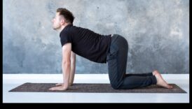 יוגה הרמוניה: סימפוניה של אסאנות מודעות