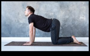 יוגה הרמוניה: סימפוניה של אסאנות מודעות