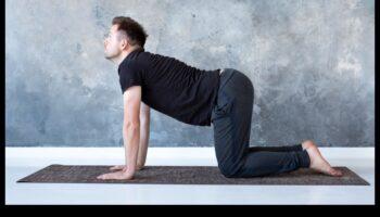 יוגה הרמוניה: סימפוניה של אסאנות מודעות