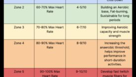 תובנות אימון אינטרוולים: מקסום שריפת קלוריות לניהול משקל