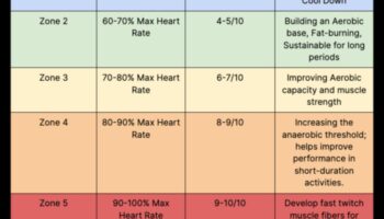תובנות אימון אינטרוולים: מקסום שריפת קלוריות לניהול משקל