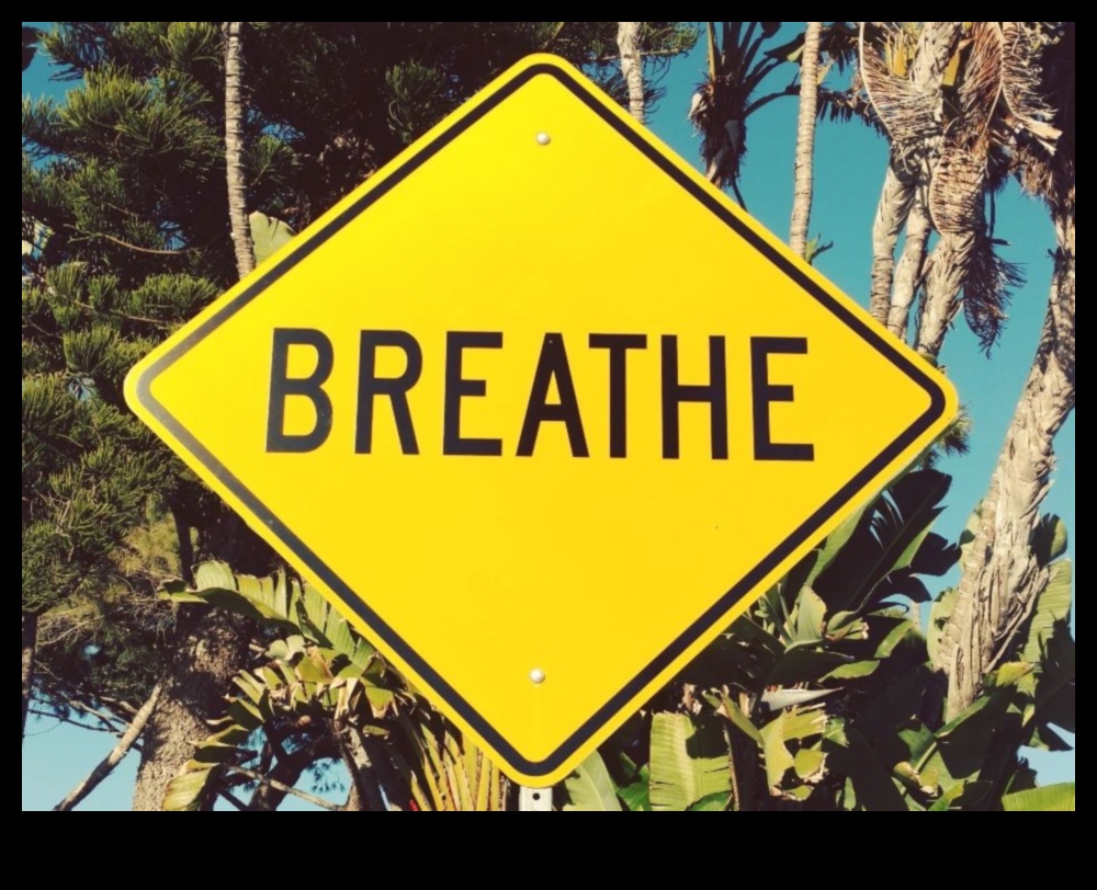 רגוע בתוך כאוס: ניווט שלווה פנימית עם הקלה אפקטיבית של מתחים